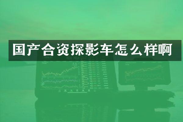 国产合资探影车怎么样啊