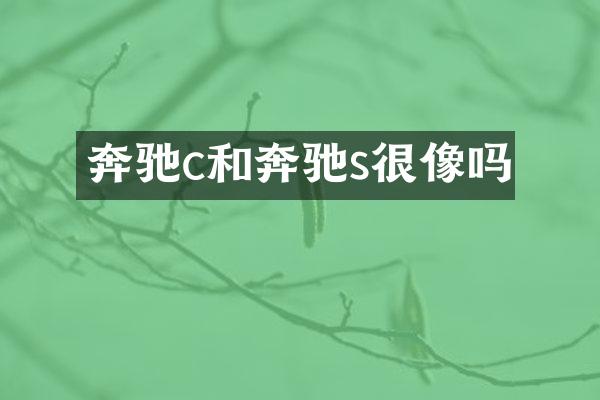 奔驰c和奔驰s很像吗