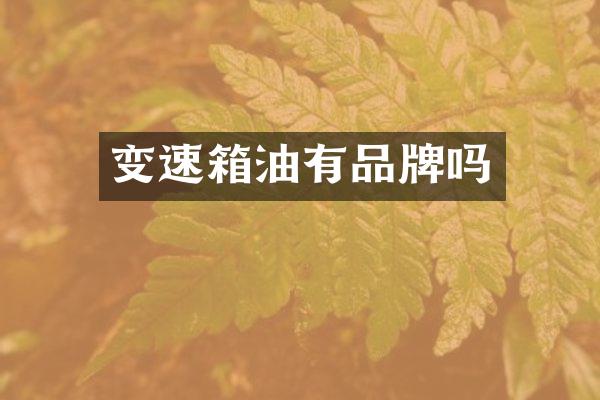 变速箱油有品牌吗