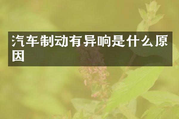 汽车制动有异响是什么原因