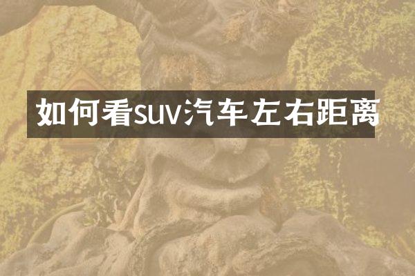 如何看suv汽车左右距离
