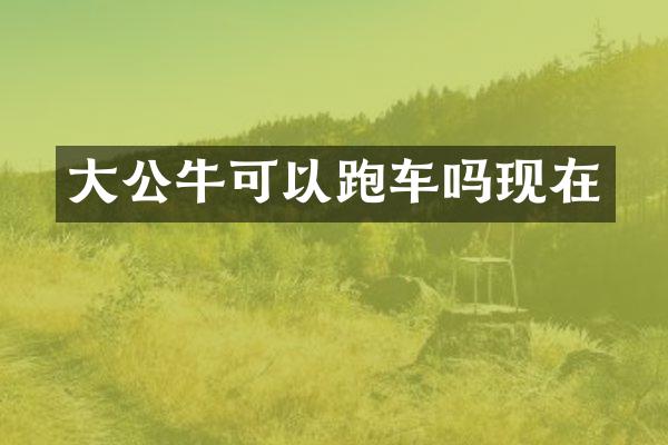 大公牛可以跑车吗现在