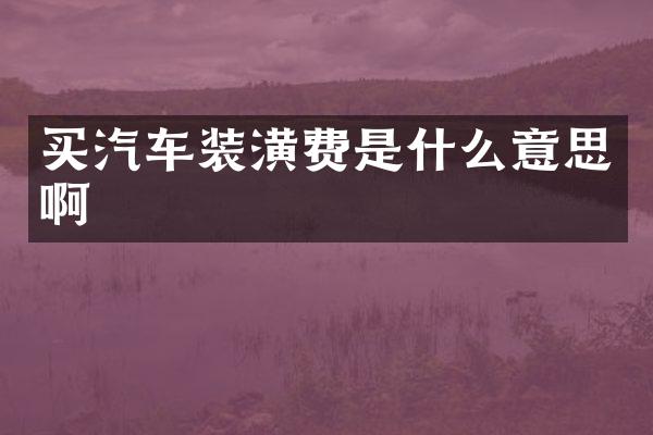 买汽车装潢费是什么意思啊