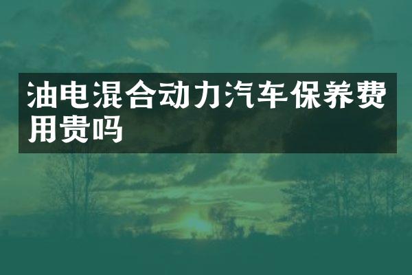 油电混合动力汽车保养费用贵吗
