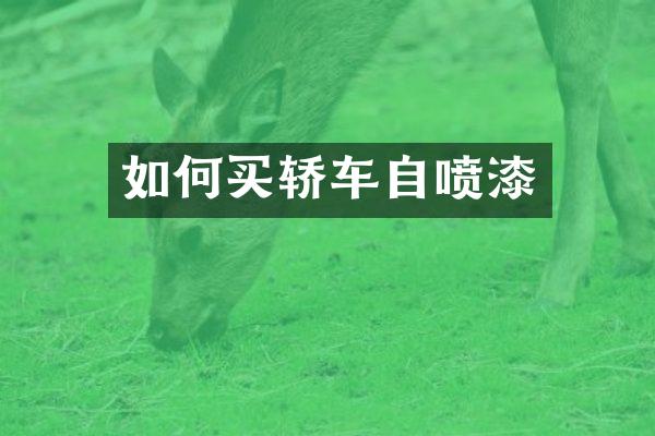 如何买轿车自喷漆
