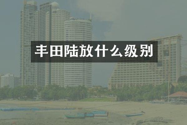 丰田陆放什么级别