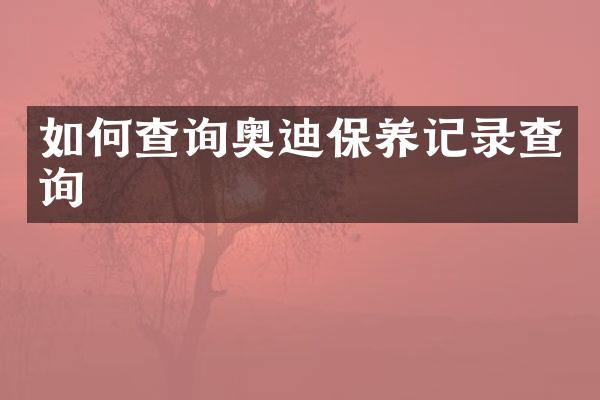 如何查询奥迪保养记录查询