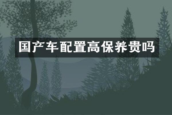 国产车配置高保养贵吗