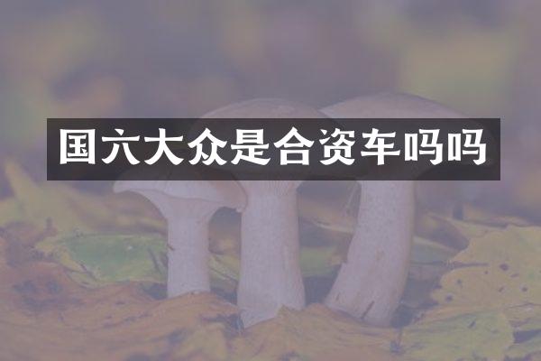 国六大众是合资车吗吗