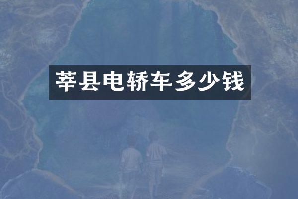 莘县电轿车多少钱