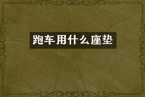 跑车用什么座垫