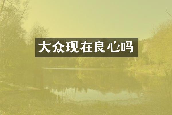 大众现在良心吗