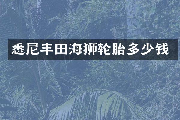 悉尼丰田海狮轮胎多少钱