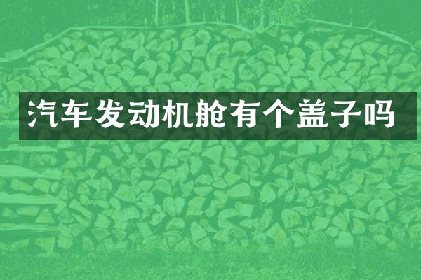 汽车发动机舱有个盖子吗