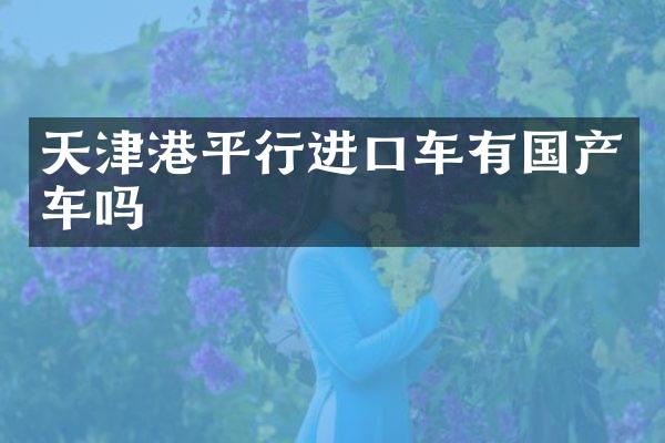 天津港平行进口车有国产车吗