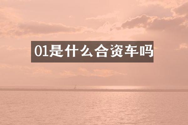 01是什么合资车吗