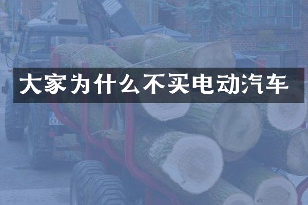 大家为什么不买电动汽车