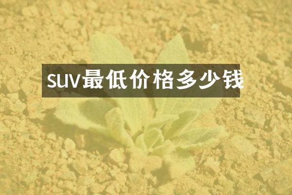 suv最低价格多少钱