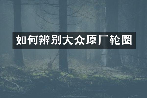 如何辨别大众原厂轮圈