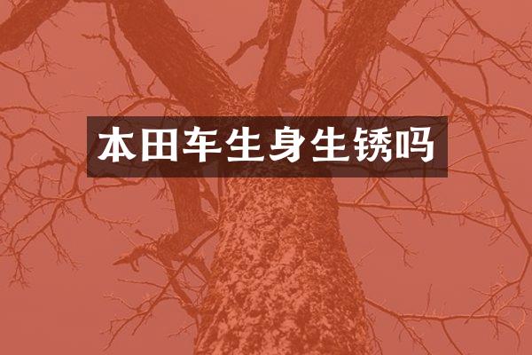 本田车生身生锈吗