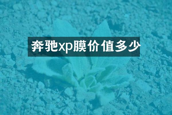 奔驰xp膜价值多少