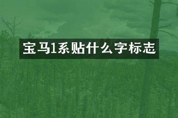 宝马1系贴什么字标志