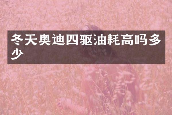 冬天奥迪四驱油耗高吗多少