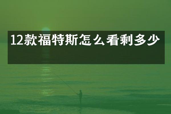 12款福特斯怎么看剩多少油