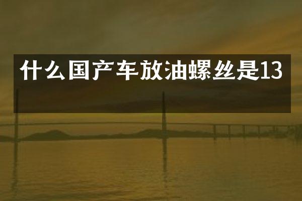 什么国产车放油螺丝是13的