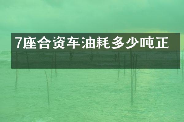 7座合资车油耗多少吨正常