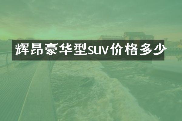 辉昂豪华型suv价格多少