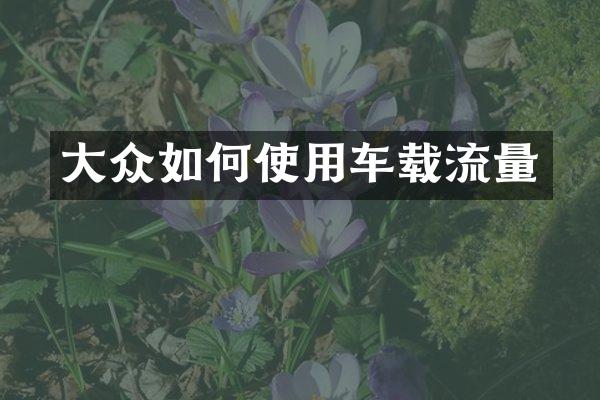 大众如何使用车载流量