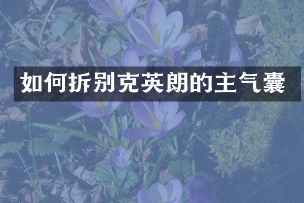 如何拆别克英朗的主气囊