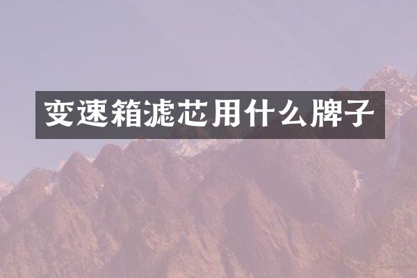 变速箱滤芯用什么牌子