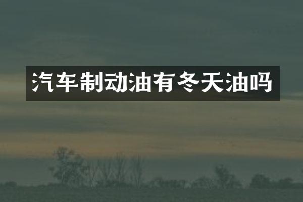 汽车制动油有冬天油吗