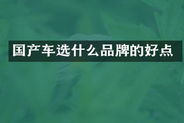 国产车选什么品牌的好点
