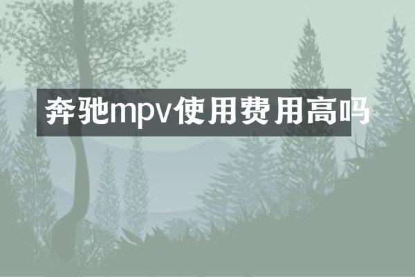 奔驰mpv使用费用高吗