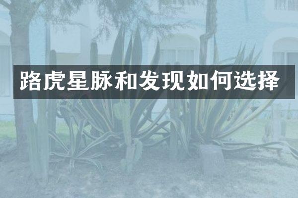 路虎星脉和发现如何选择