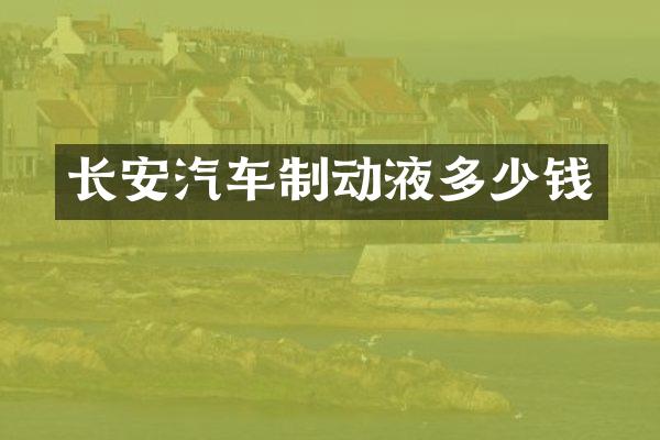 长安汽车制动液多少钱