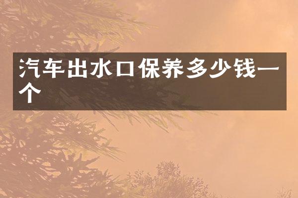 汽车出水口保养多少钱一个