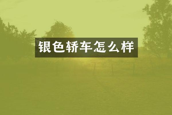 银色轿车怎么样