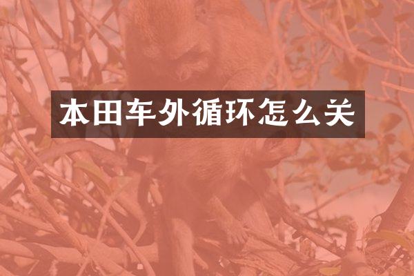 本田车外循环怎么关