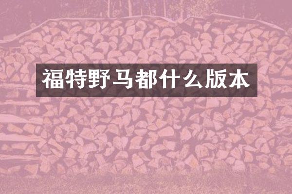 福特野马都什么版本