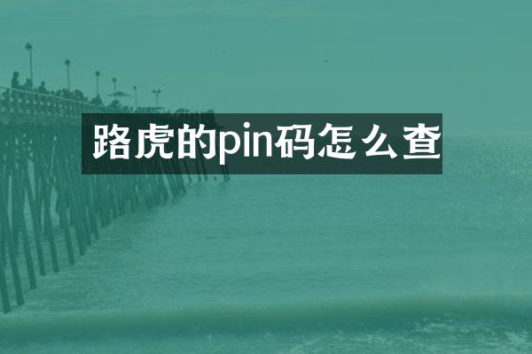 路虎的pin码怎么查