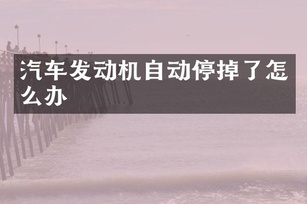 汽车发动机自动停掉了怎么办