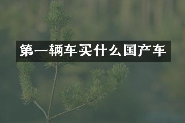 第一辆车国产车