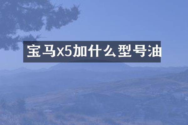 宝马x5加什么型号油