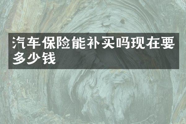 汽车保险能补买吗现在要多少钱