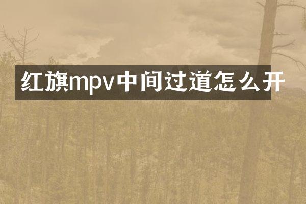 红旗mpv中间过道怎么开