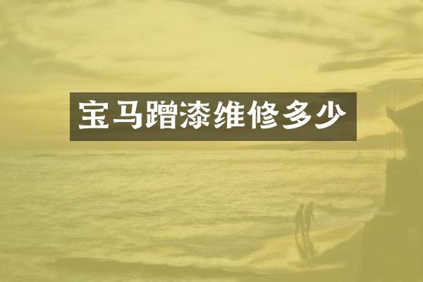宝马蹭漆维修多少